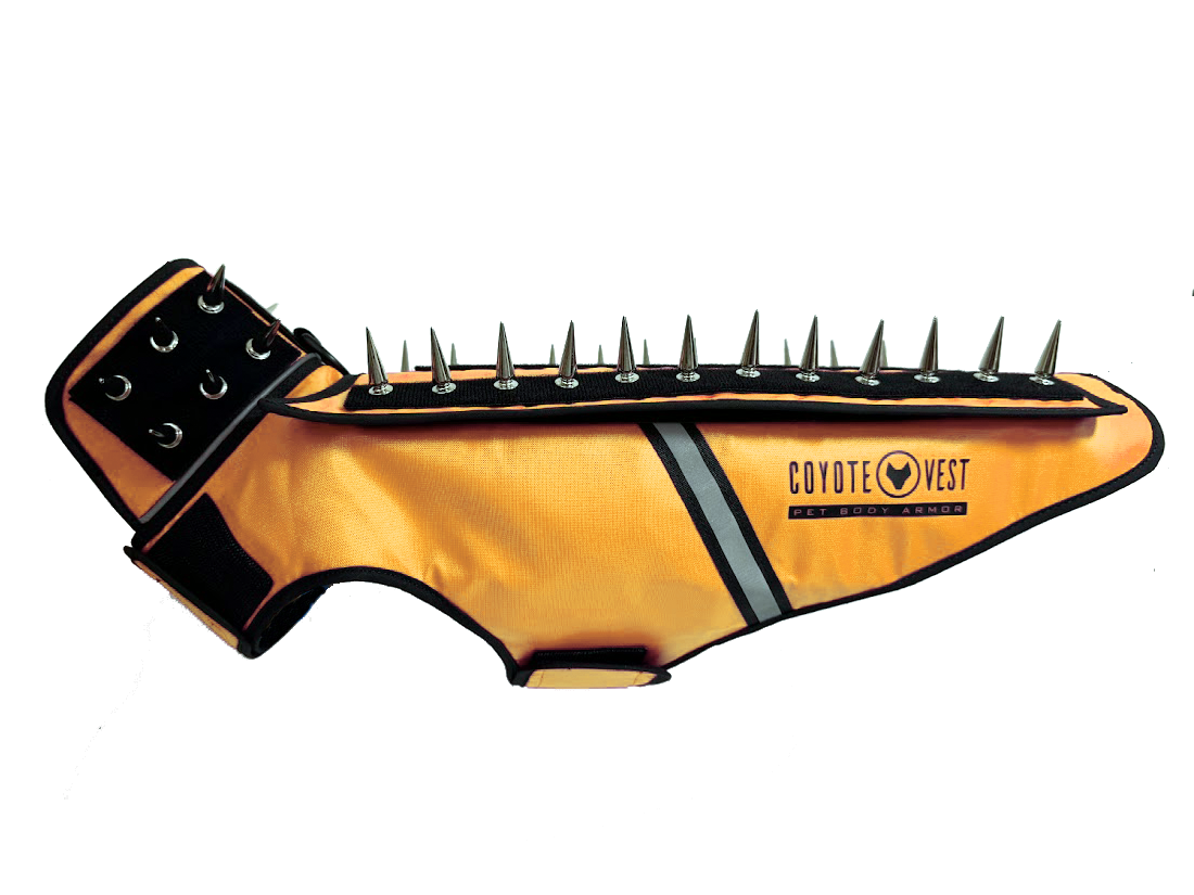 Spike protection dog vest, orange fabric with black spikes, black straps and gray stripe