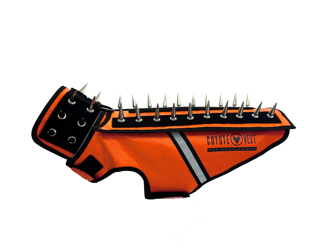 HawkVest pet dog body armor vest, orange with black straps and metal studs