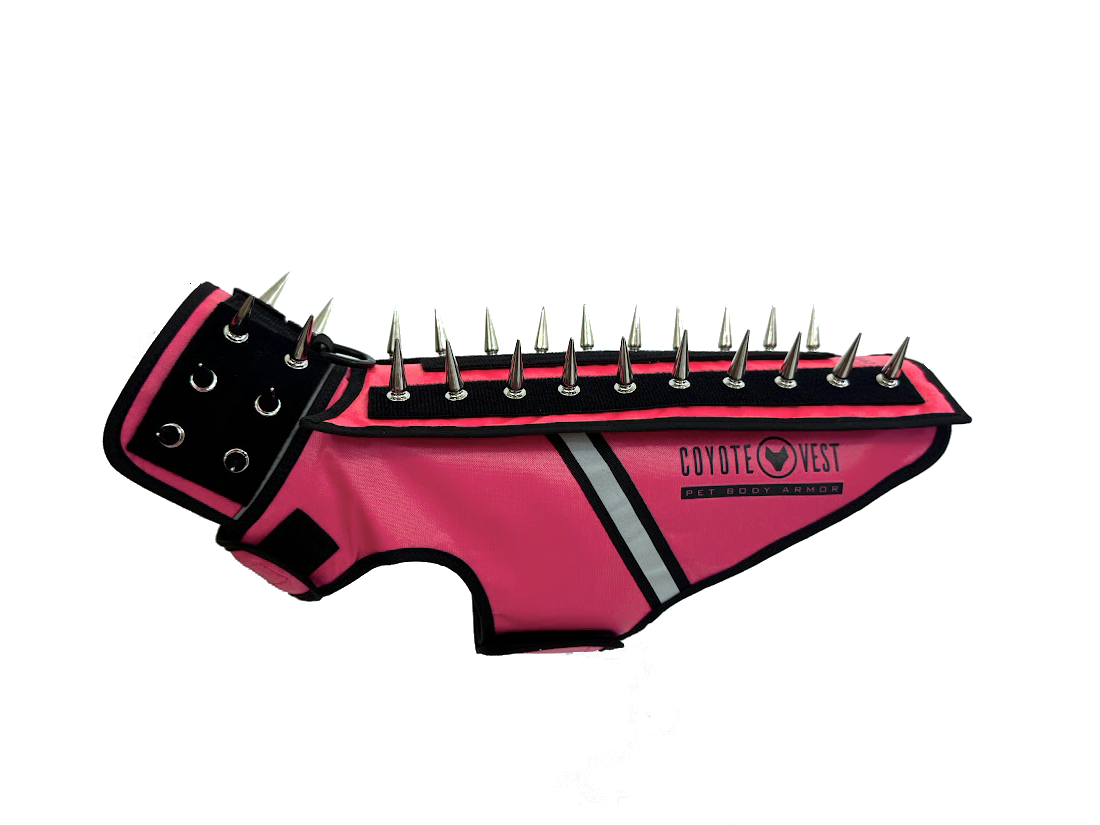 Spiked pet body armor vest in neon pink with black collar and metal spikes