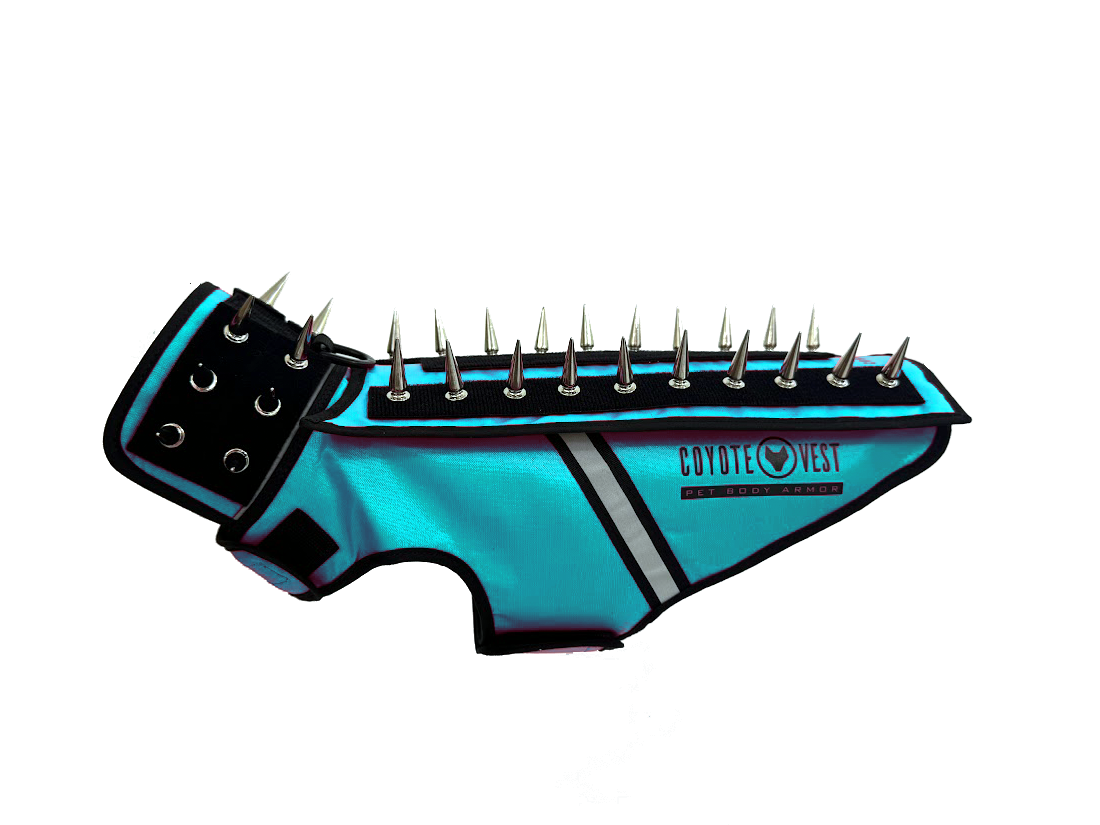 Spiked pet body armor vest in turquoise with black collar and metal spikes