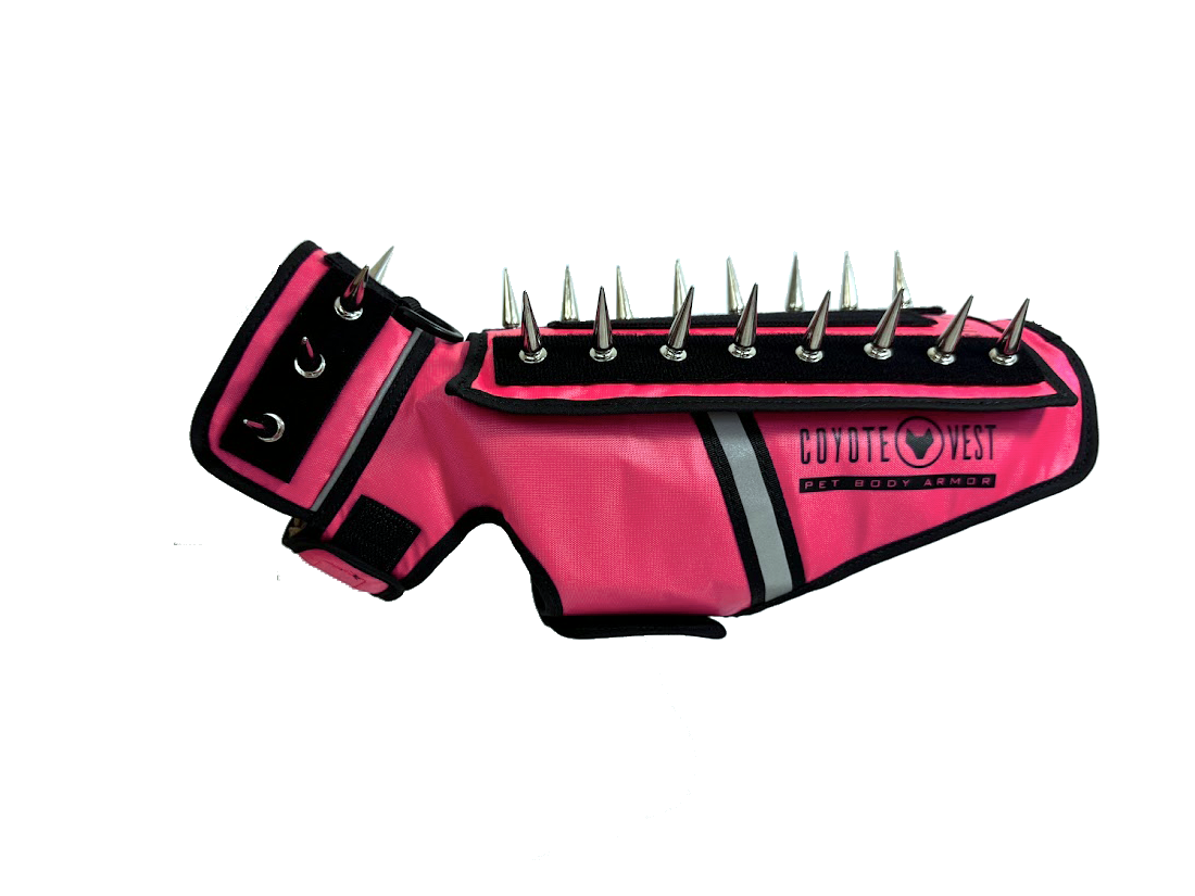 Spiked pet body armor vest in neon pink with black collar and metal spikes