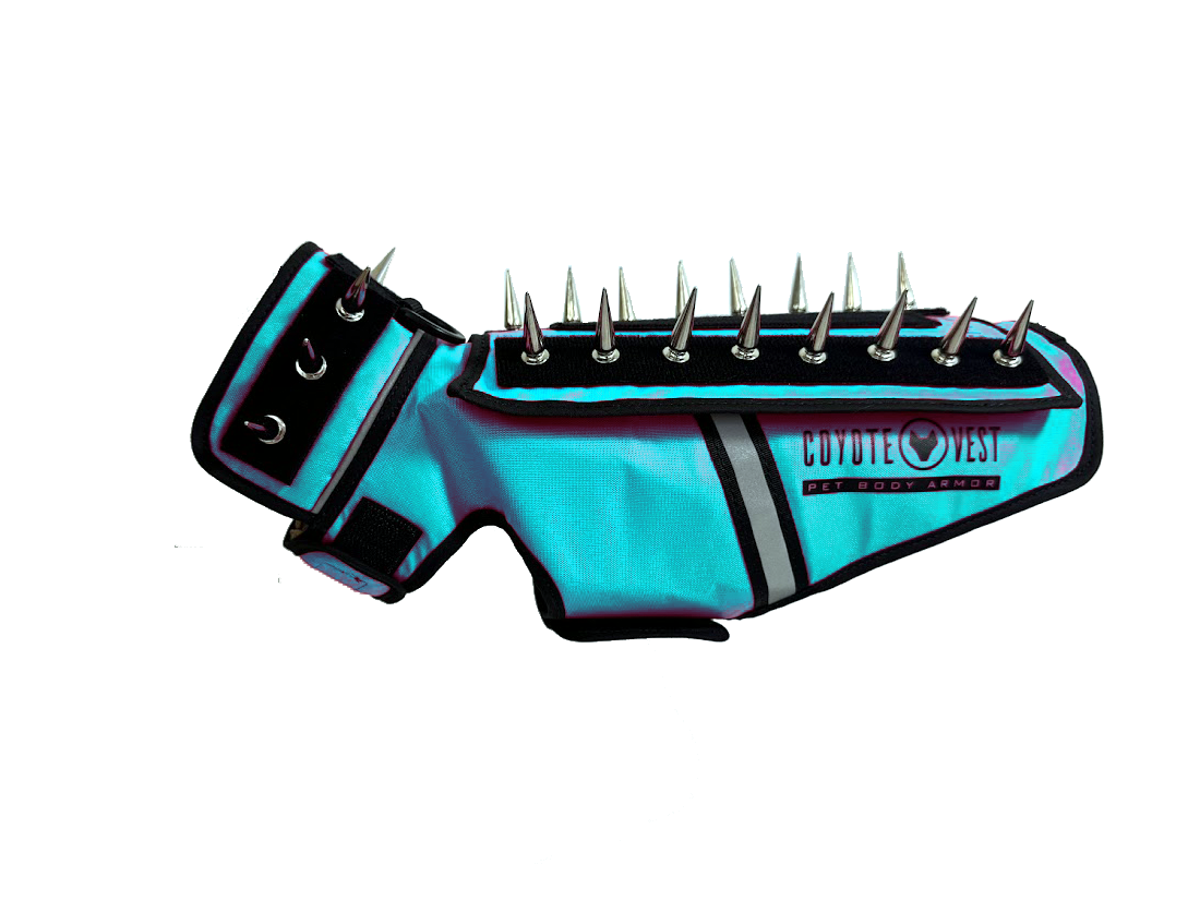 Spiked pet body armor vest in turquoise with black collar and metal spikes