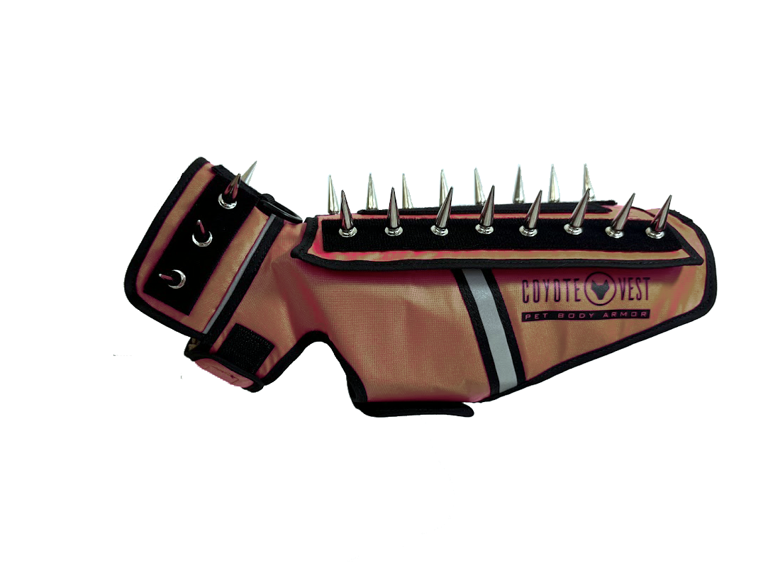 Spiked pet body armor vest in Texas tan with black collar and metal spikes