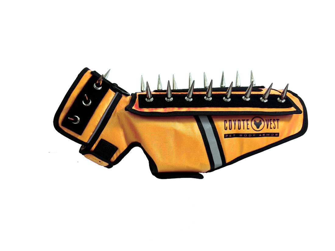 Pet spiked armor vest, orange tan with black spikes and gray stripe; buckle collar