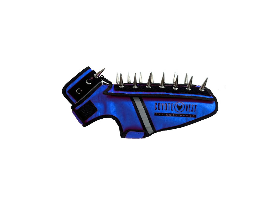Pet spiked armor vest, royal blue with black spikes and gray center stripe