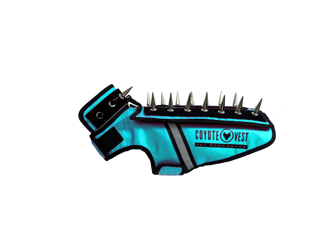 Pet spiked armor vest, turquoise with black spikes and gray stripe at center