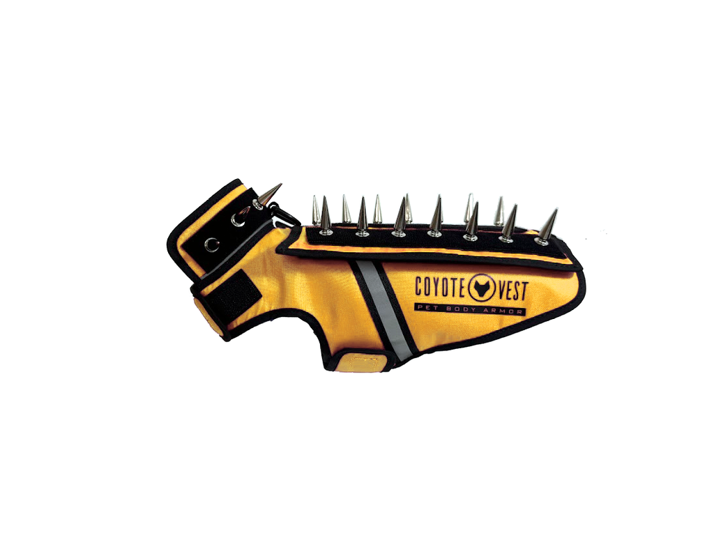 Pet spiked armor vest, yellow with black spikes, gray stripe, and buckle collar