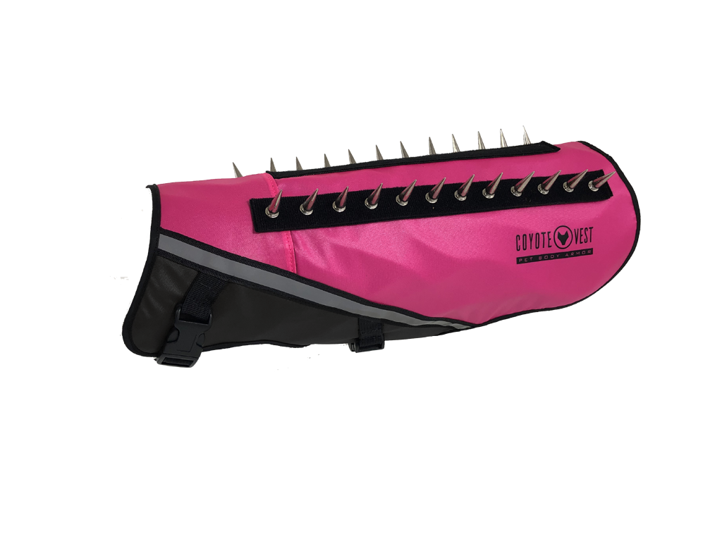 Neon pink dog protective vest with black straps and metal prongs along the top