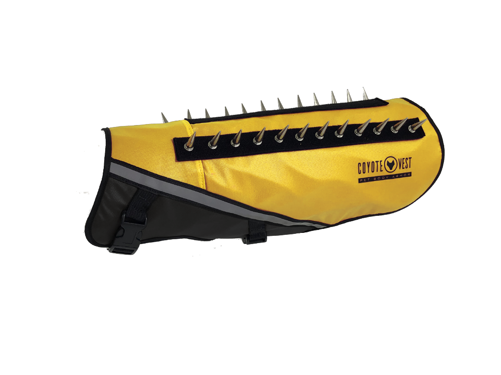 Yellow dog protective vest with black straps and metal prongs along the top