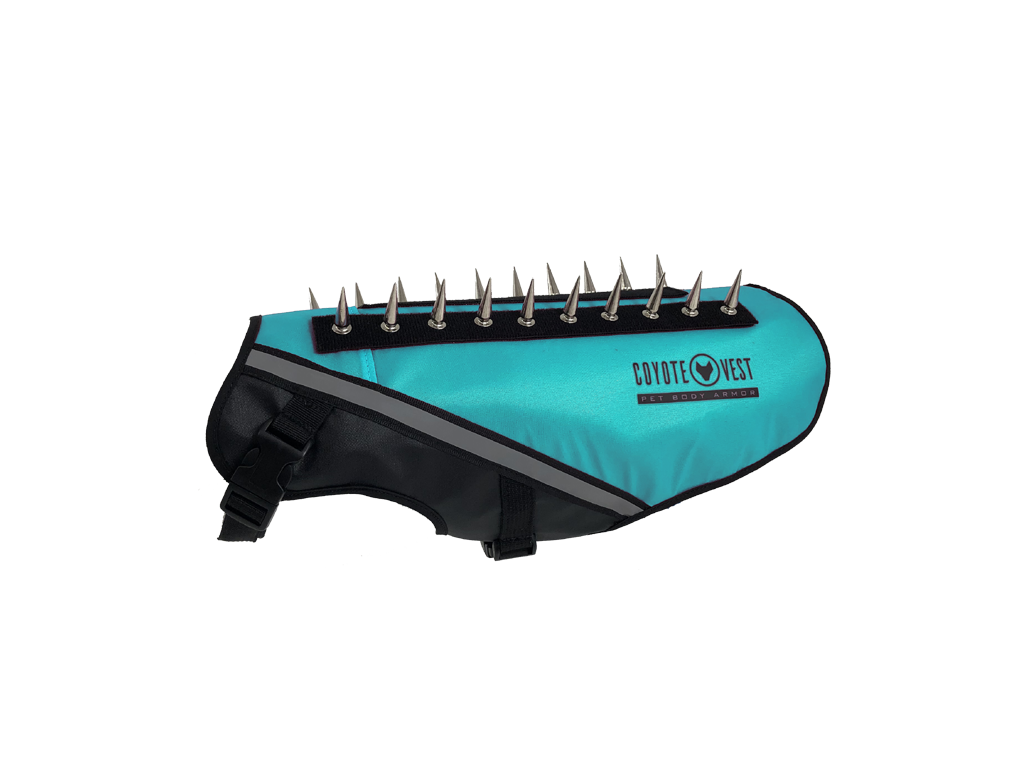 Turquoise dog protective vest with black base, gray trim, and metal prongs