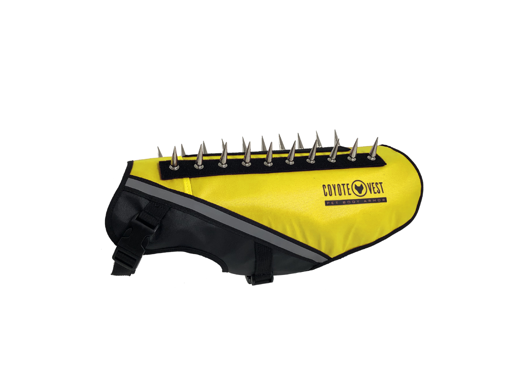 Yellow dog protective vest with black base, gray trim, and metal prongs