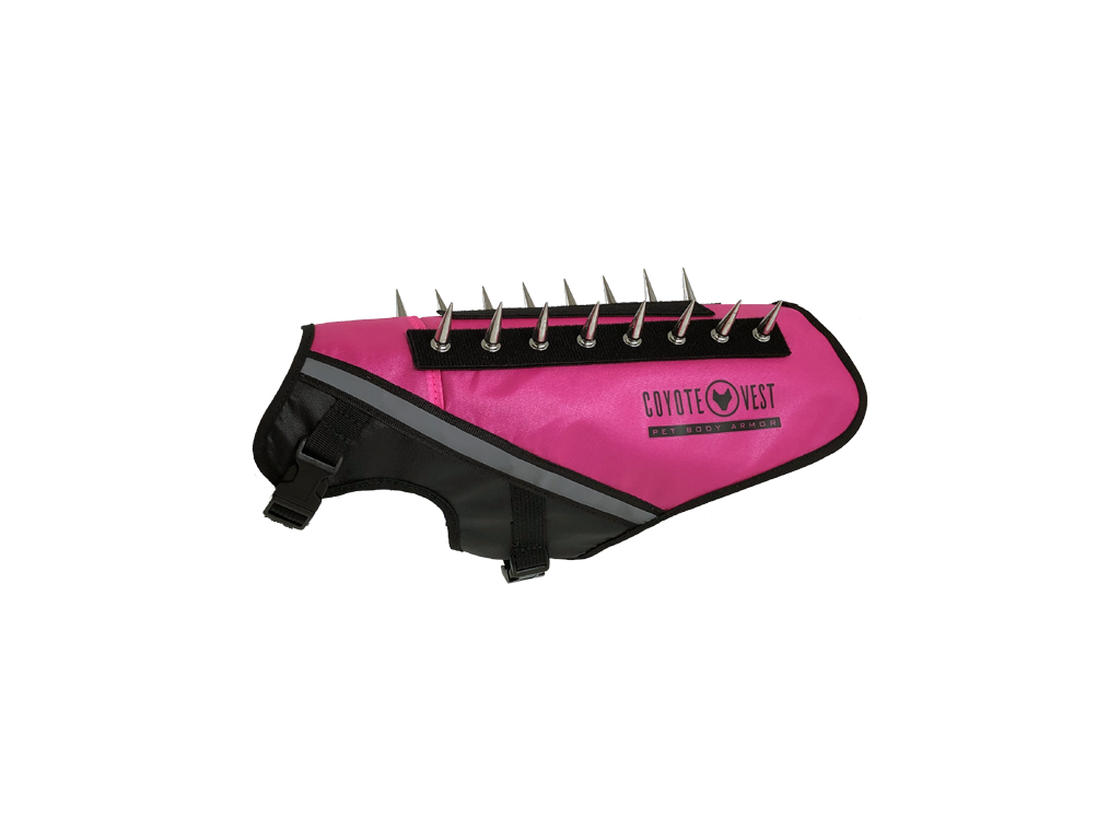 Neon pink dog protective vest with black straps, gray trim, and metal prongs