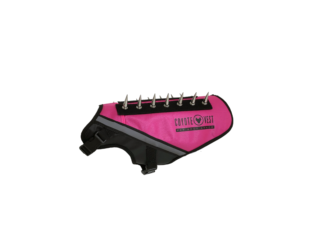 Neon pink BullyVest spiked dog body armor vest with black straps