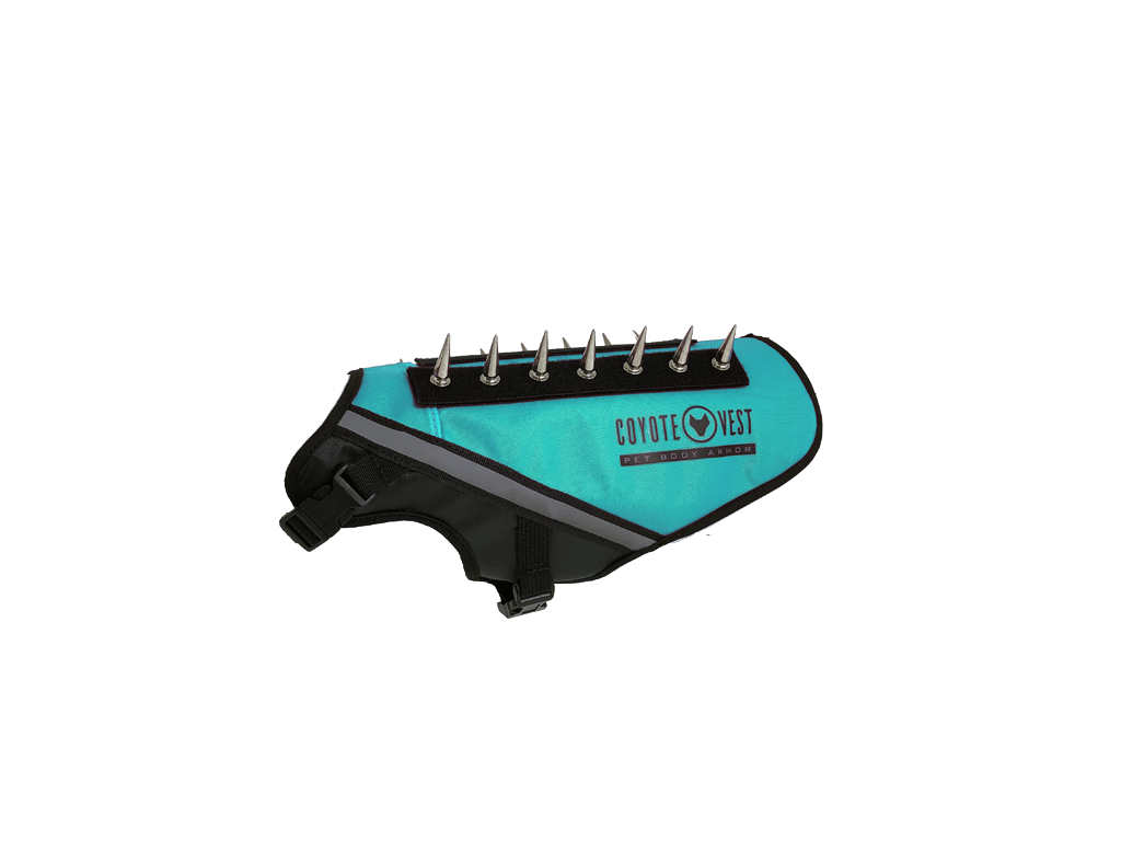 Turquoise BullyVest spiked dog body armor vest with black straps