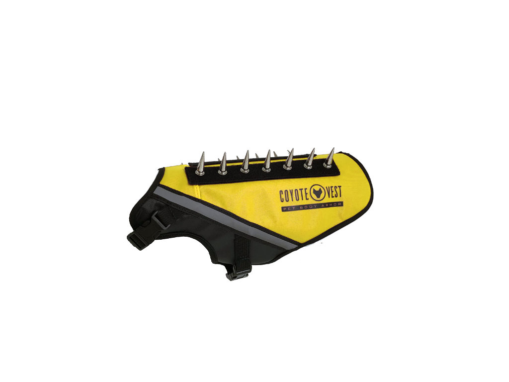 Yellow dog protective vest with black straps and metal prongs on the top strip