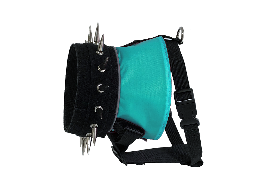 Spiked dog harness with turquoise panel, black straps, metal studs and spikes