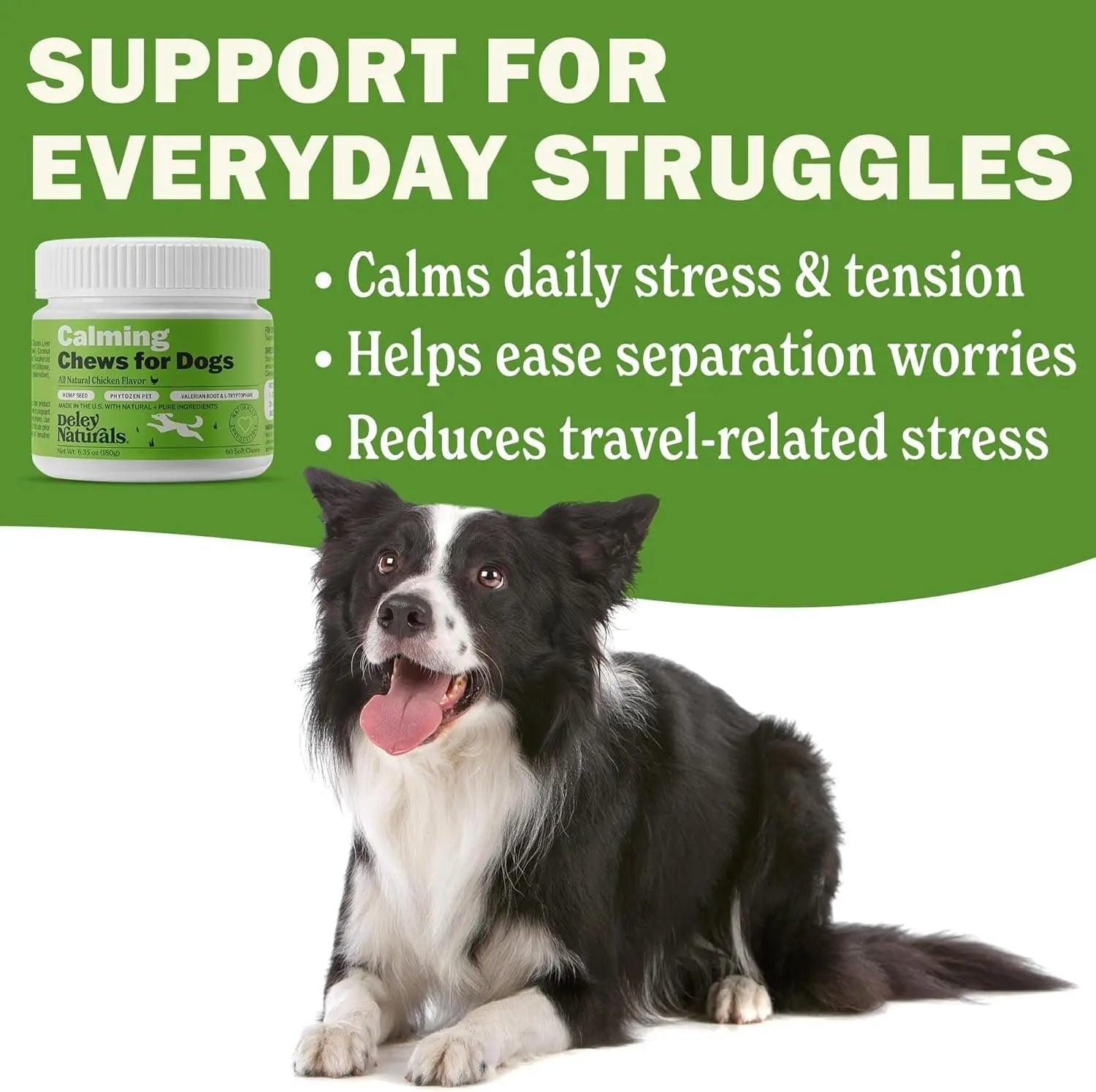 Calming Chews for Dogs jar beside happy dog, daily stress support bullet points