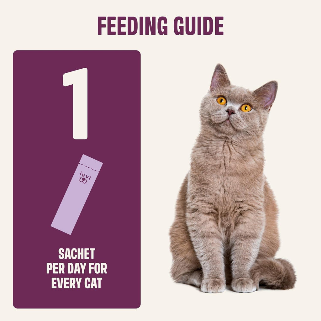 Gray tabby cat beside feeding guide showing 1 sachet per day