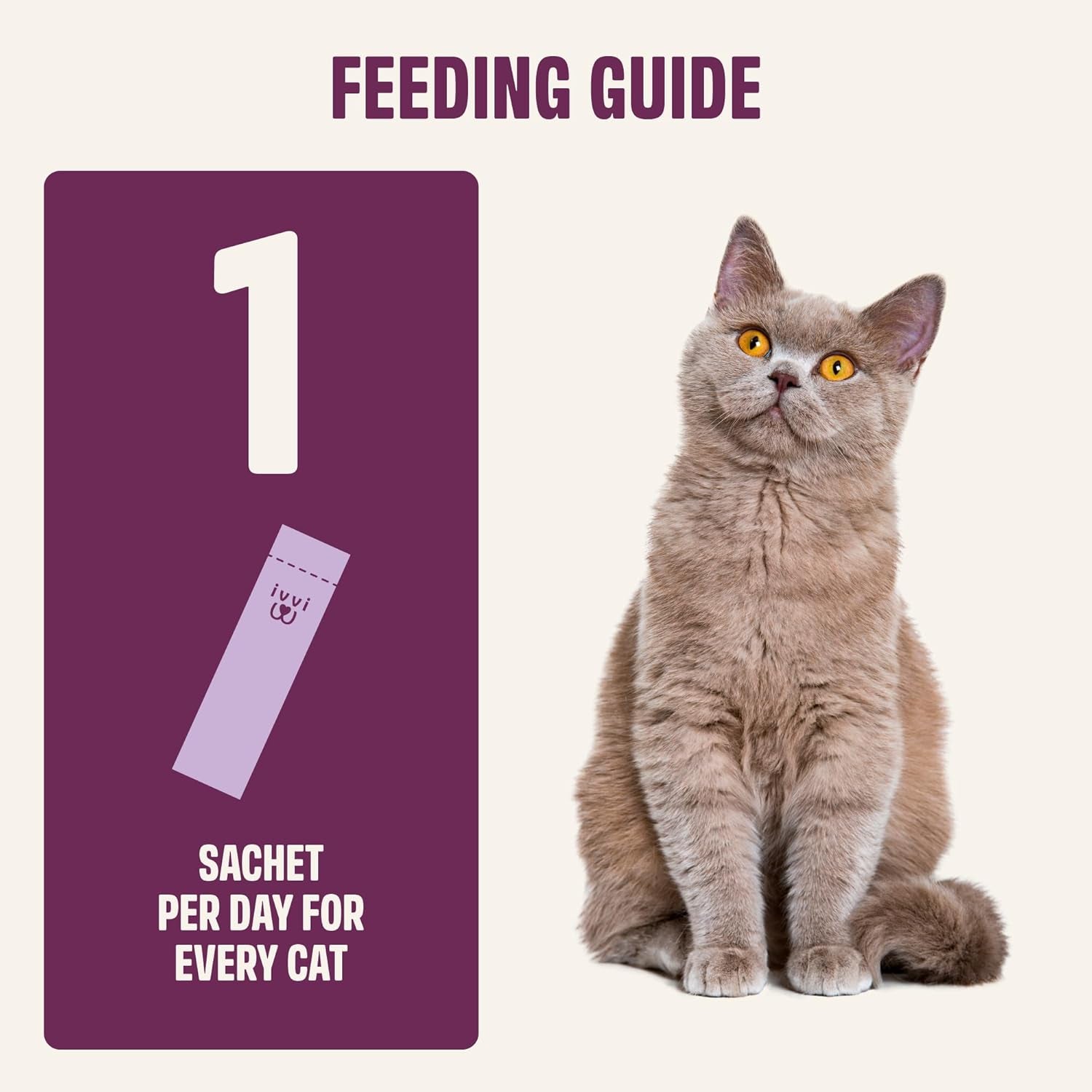 Gray tabby cat beside feeding guide showing 1 sachet per day