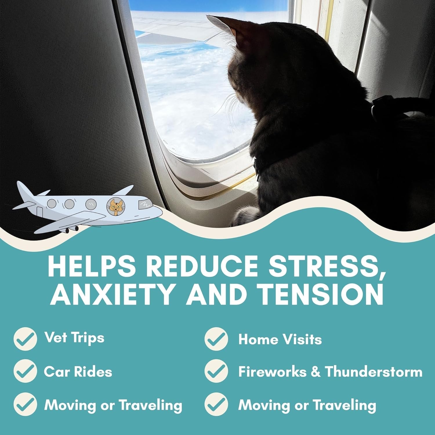 Cat calming sticks promo panel with cat by window and icons for stress relief