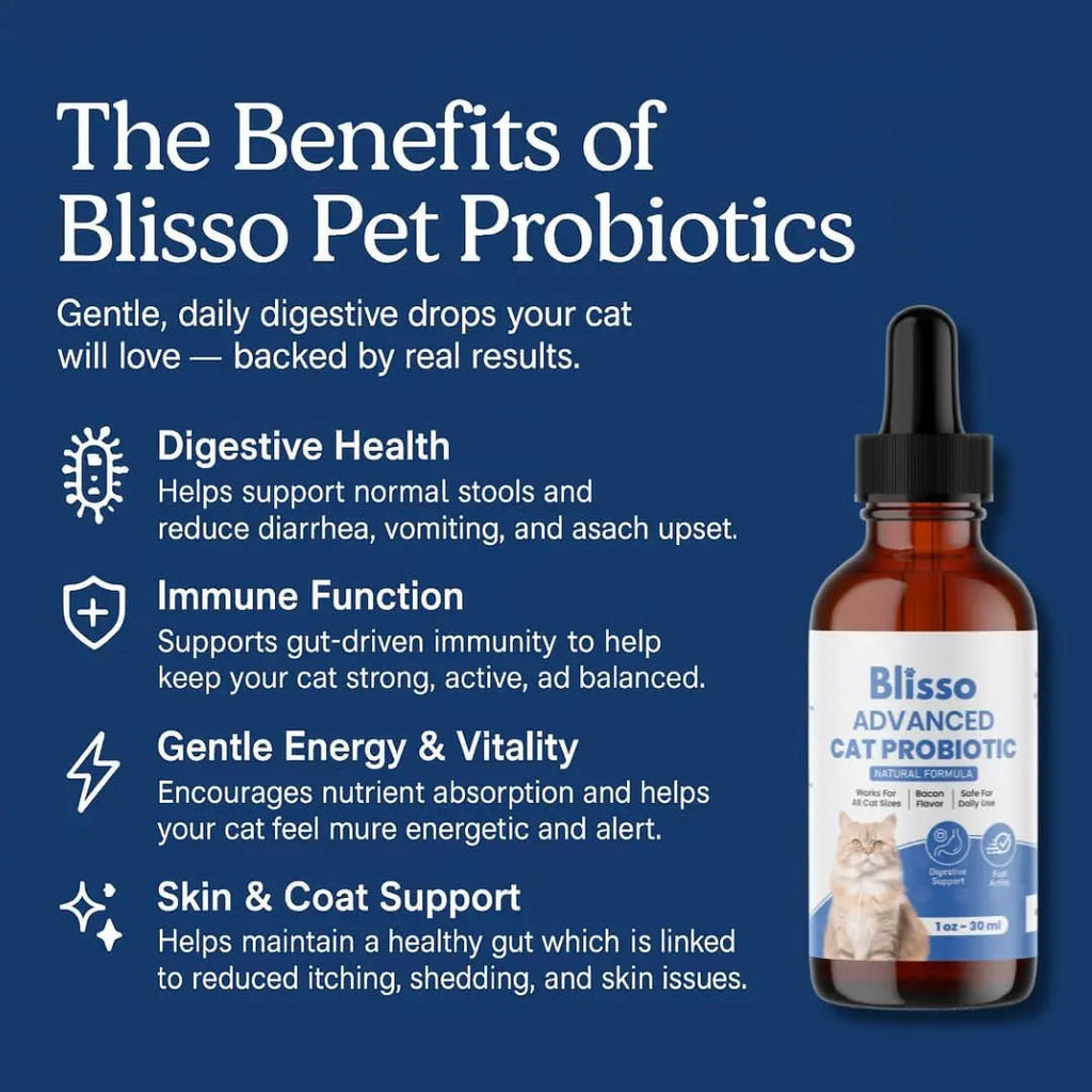 Cat probiotic supplement dropper bottle with amber liquid and black cap