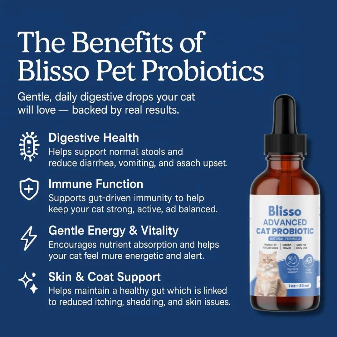 Cat probiotic supplement dropper bottle with amber liquid and black cap