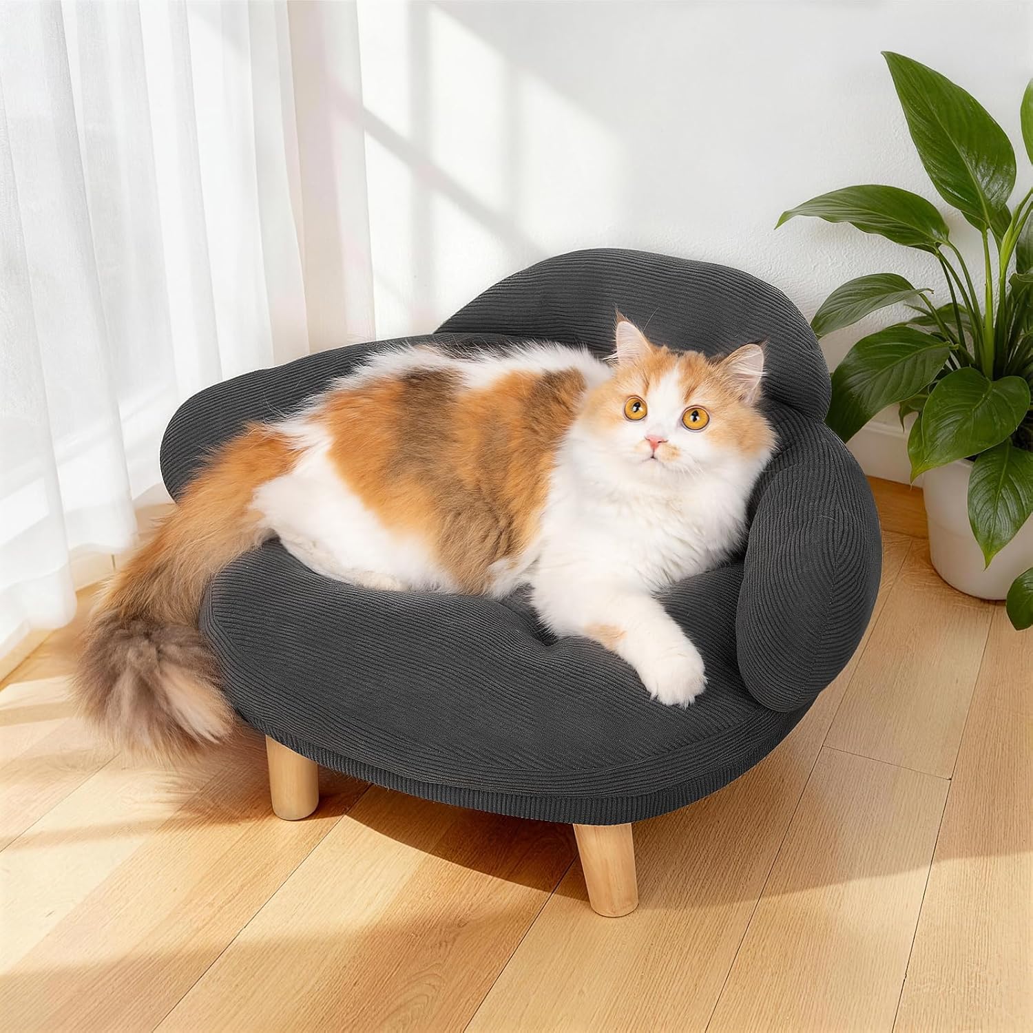 Gray round cat sofa bed with plush cushion and wooden legs for lounging