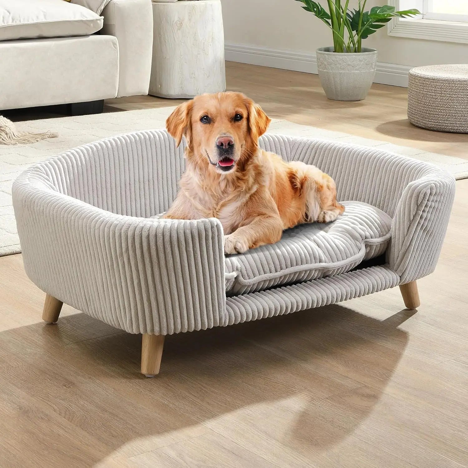 Light gray corduroy pet couch with wooden legs, rounded arms.
