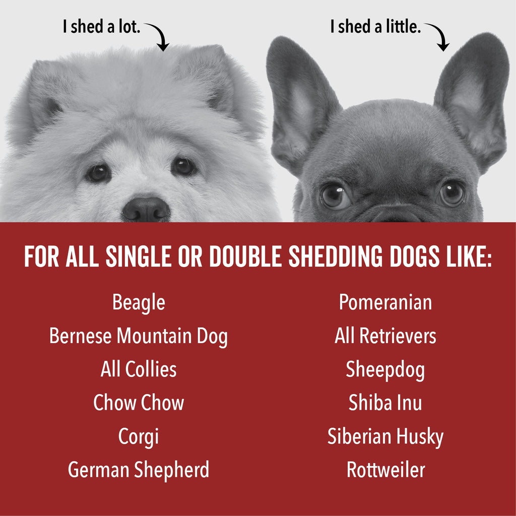 DOGDAYS De-Shedding Dog Shampoo