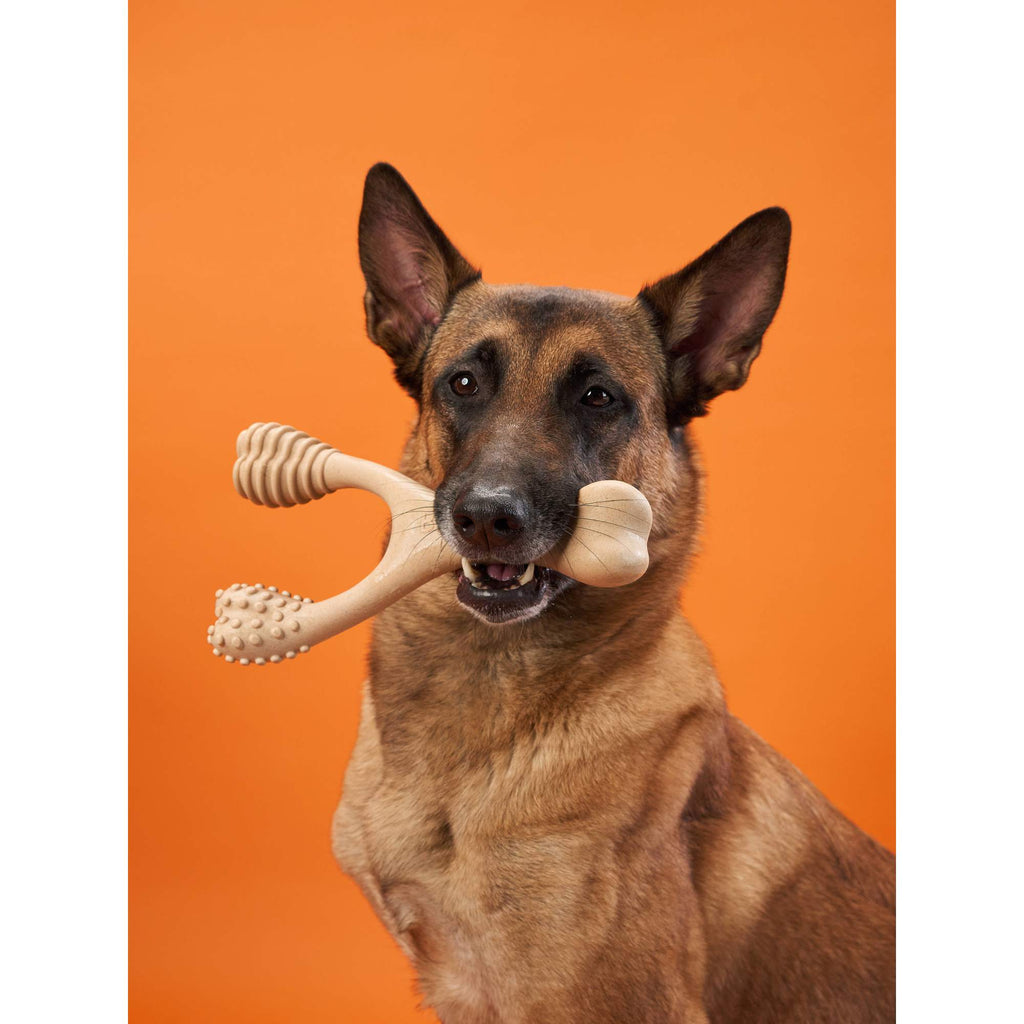 Dog holding a light beige hard chew bone toy with ribbed and nubby textured ends