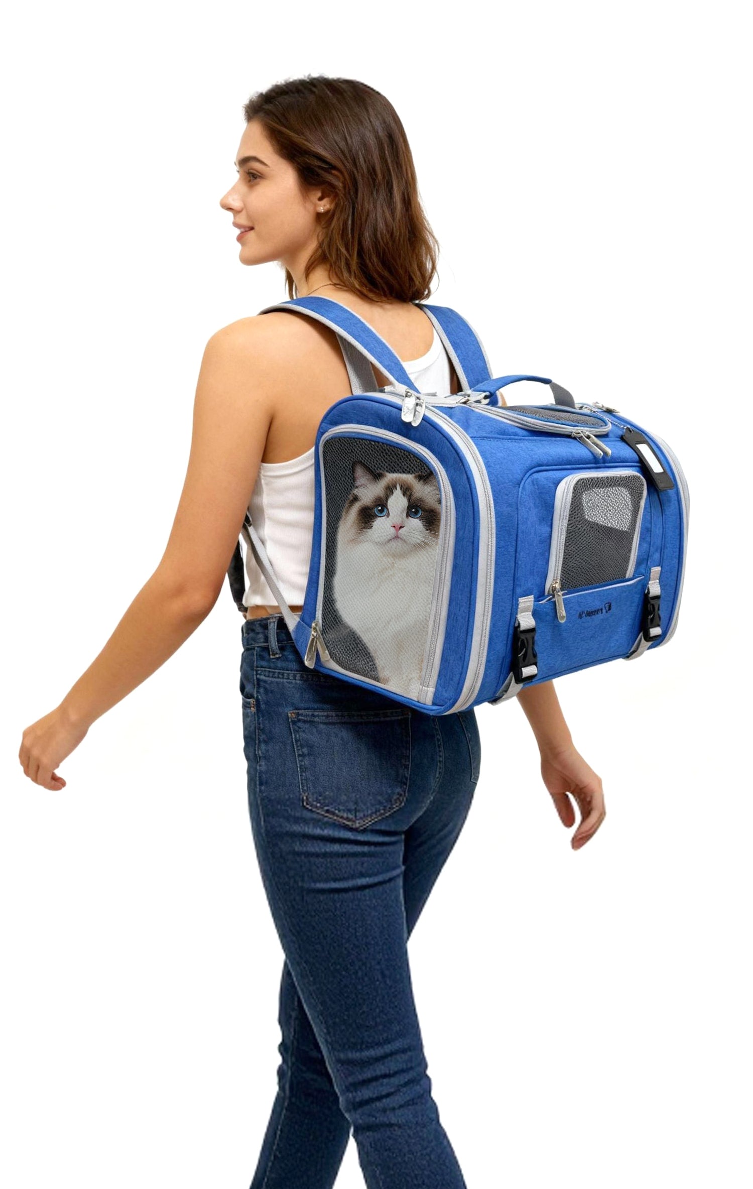 Blue pet carrier backpack worn by person; cat visible through front mesh panel