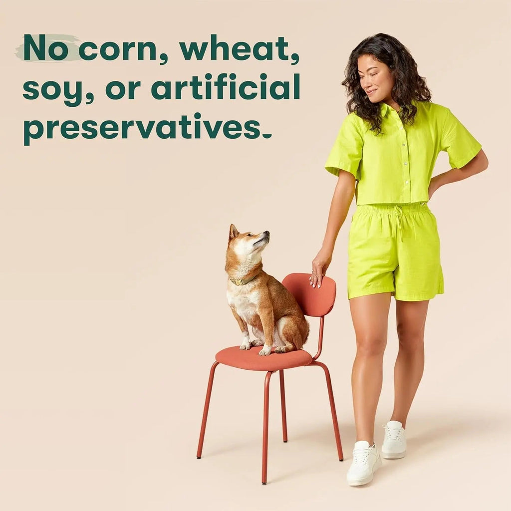 Dog and person with text: no corn, wheat, soy, or artificial preservatives