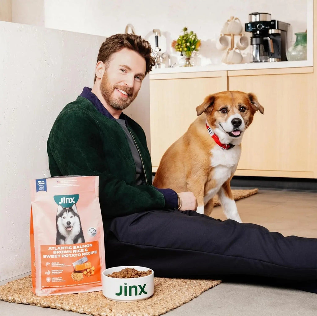 Jinx dog food topper bag and bowl with dog near the couch
