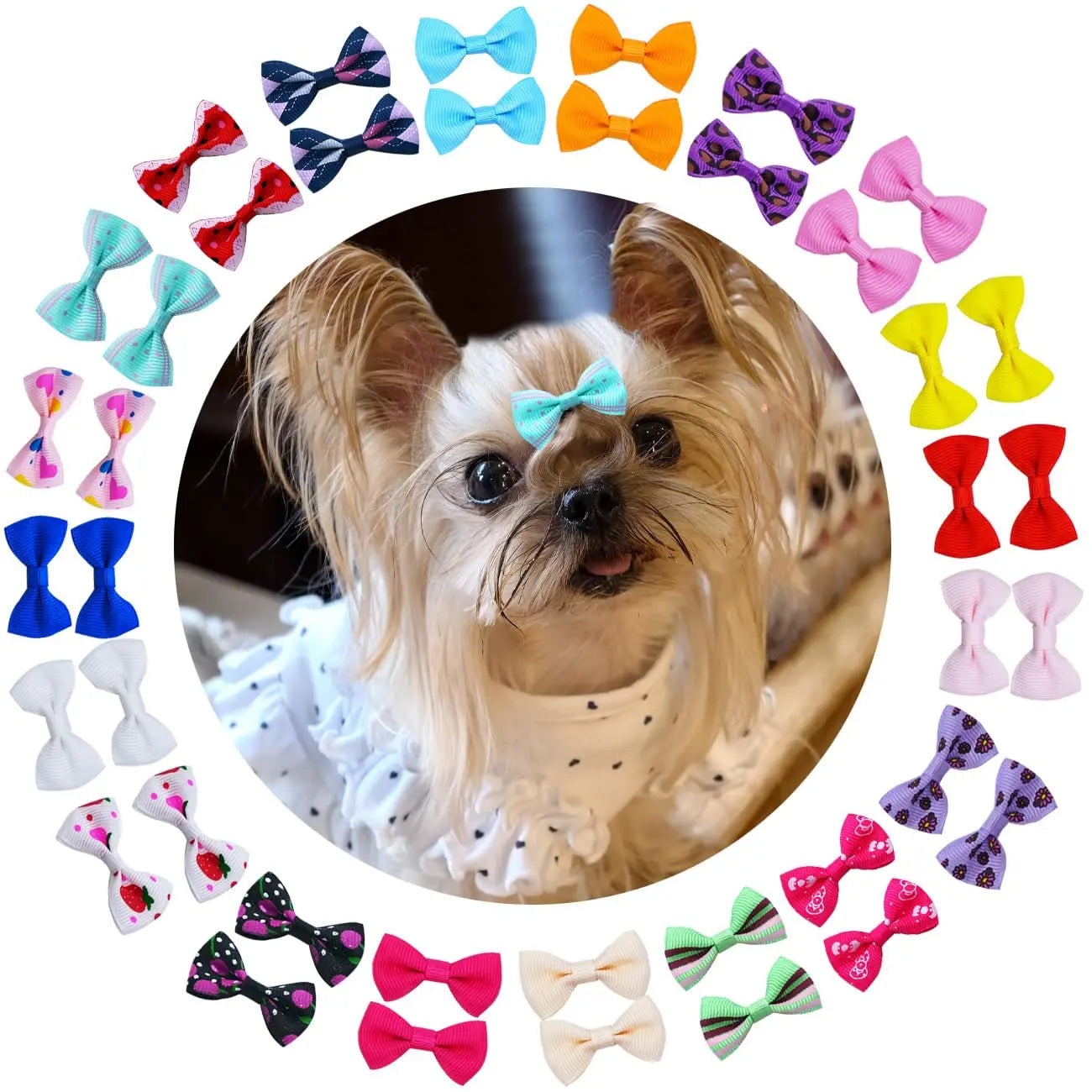 Yorkie wearing a light blue ribbon bow; surrounding ribbon bow clips in assorted colors