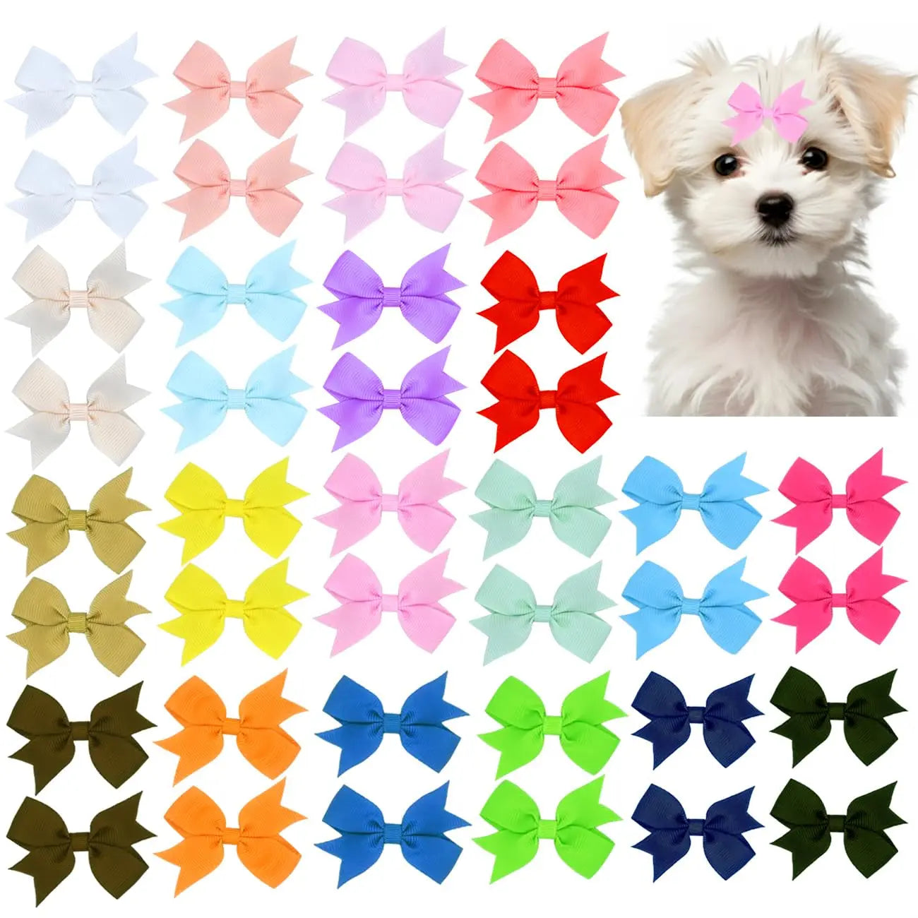 Dog hair bow set with many colors; small white dog wearing pink bow clips