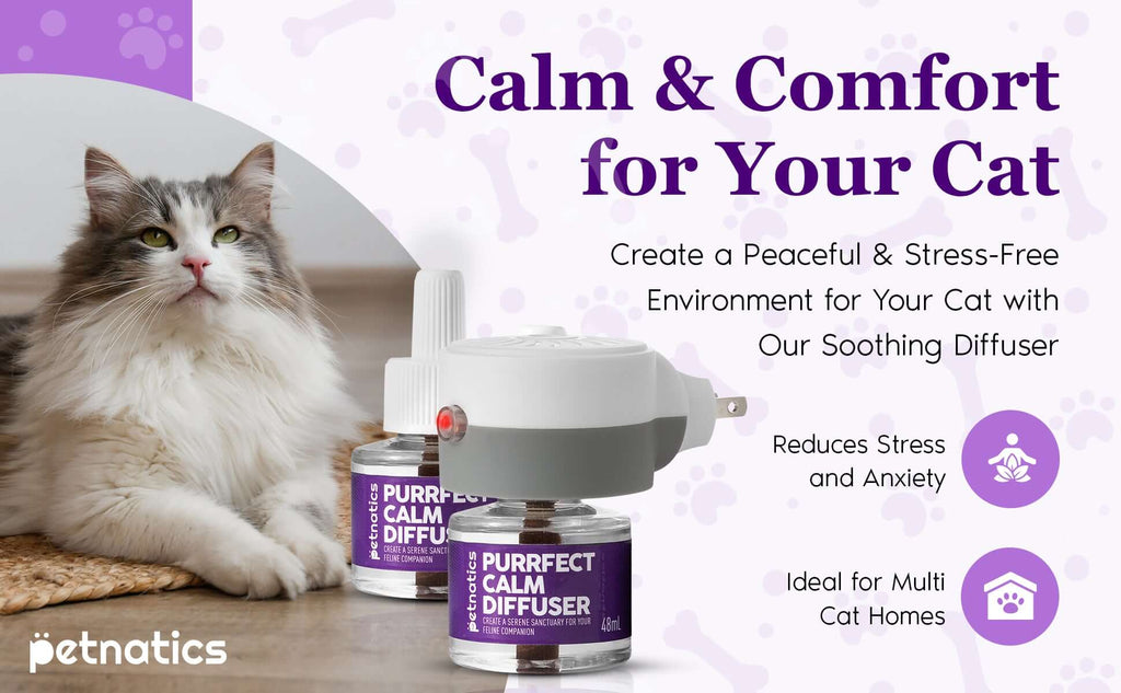 Cat calming diffuser kit with white plug-in diffuser and purple-labeled refill vials