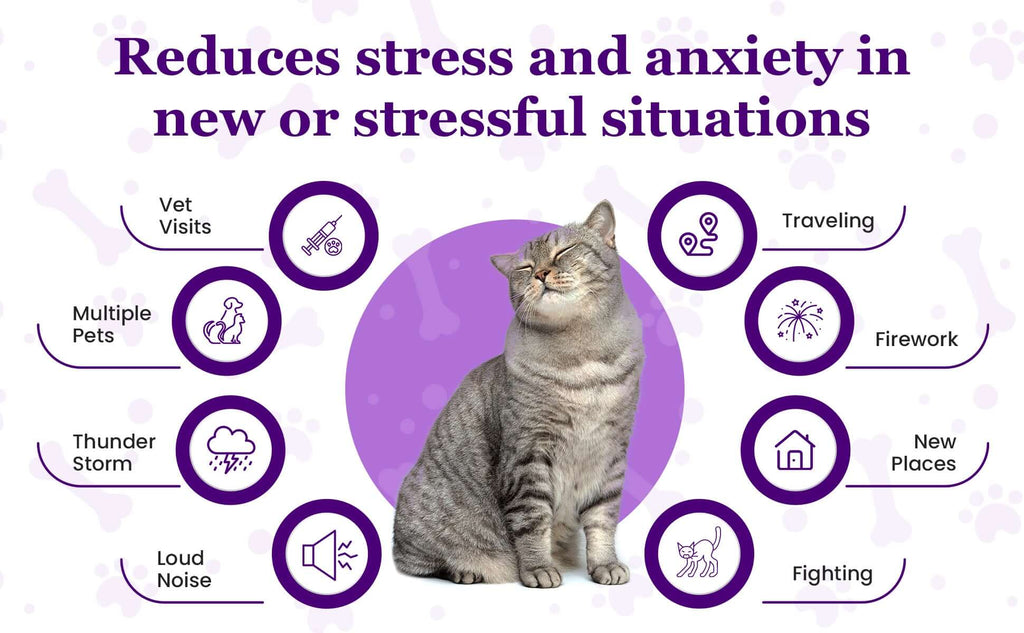 Cat calming diffuser kit with refills, gray tabby cat sitting with round icons