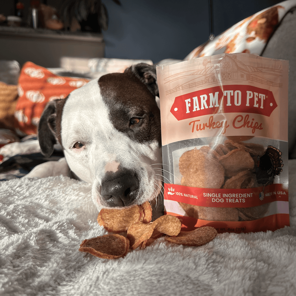Turkey chips for dogs pouch with turkey treat slices on a soft blanket