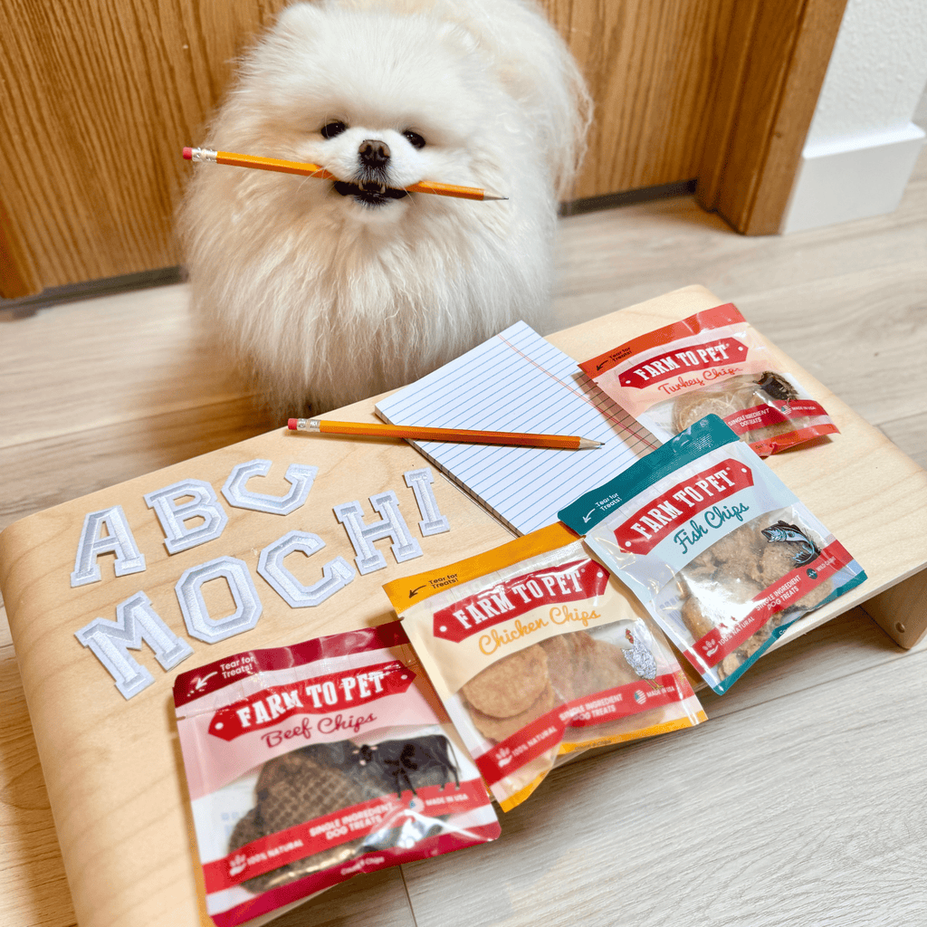 Dog treat sampler with chicken, beef, and fish chip bags on a wooden board.