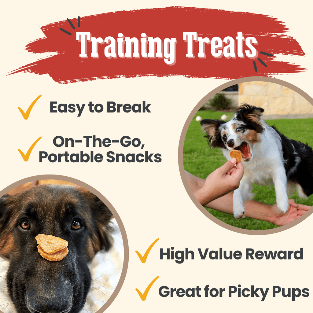 Chicken dog treat chips training infographic with dog and snack held