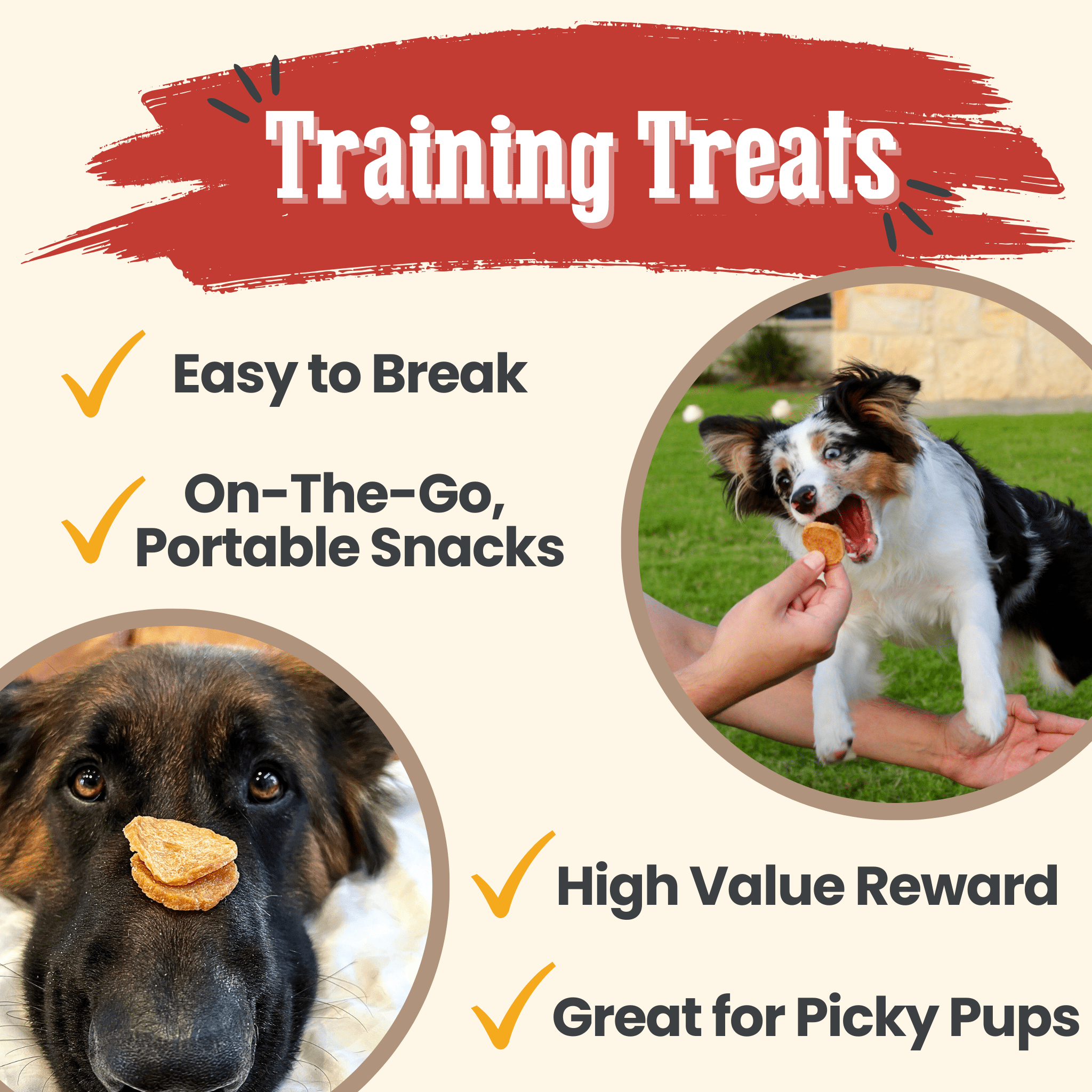 Chicken dog treat chips training infographic with dog and snack held
