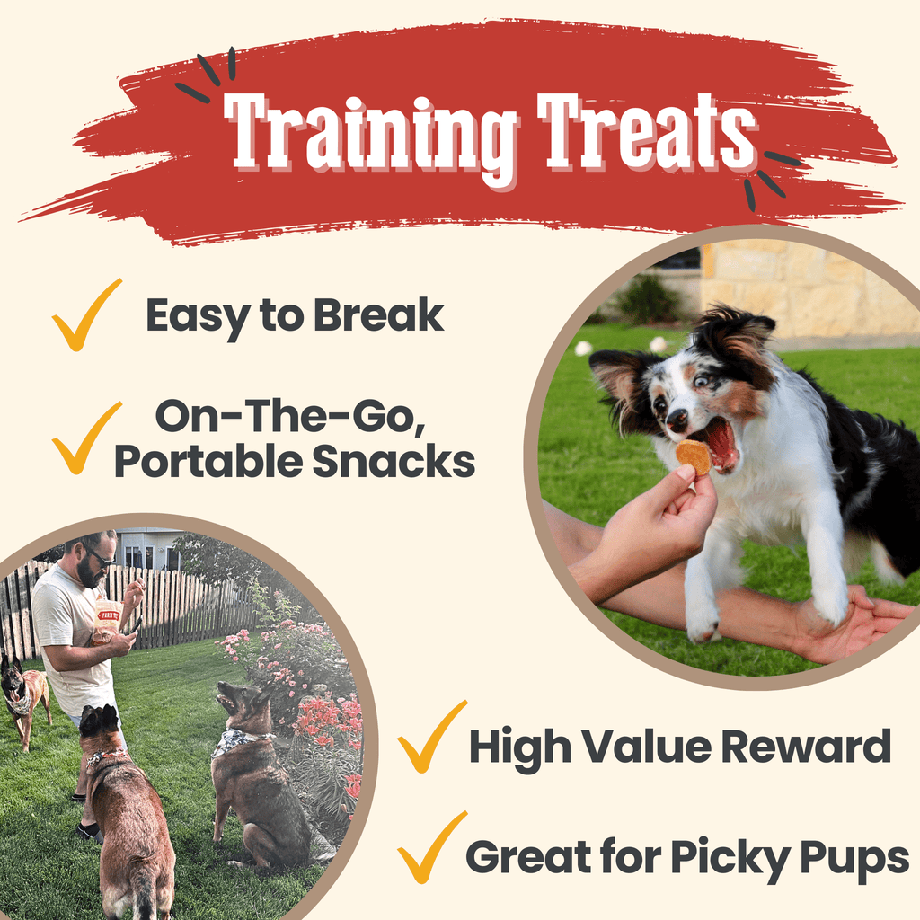 Promotional graphic for chicken chip dog treats featuring a small dog and hand feeding