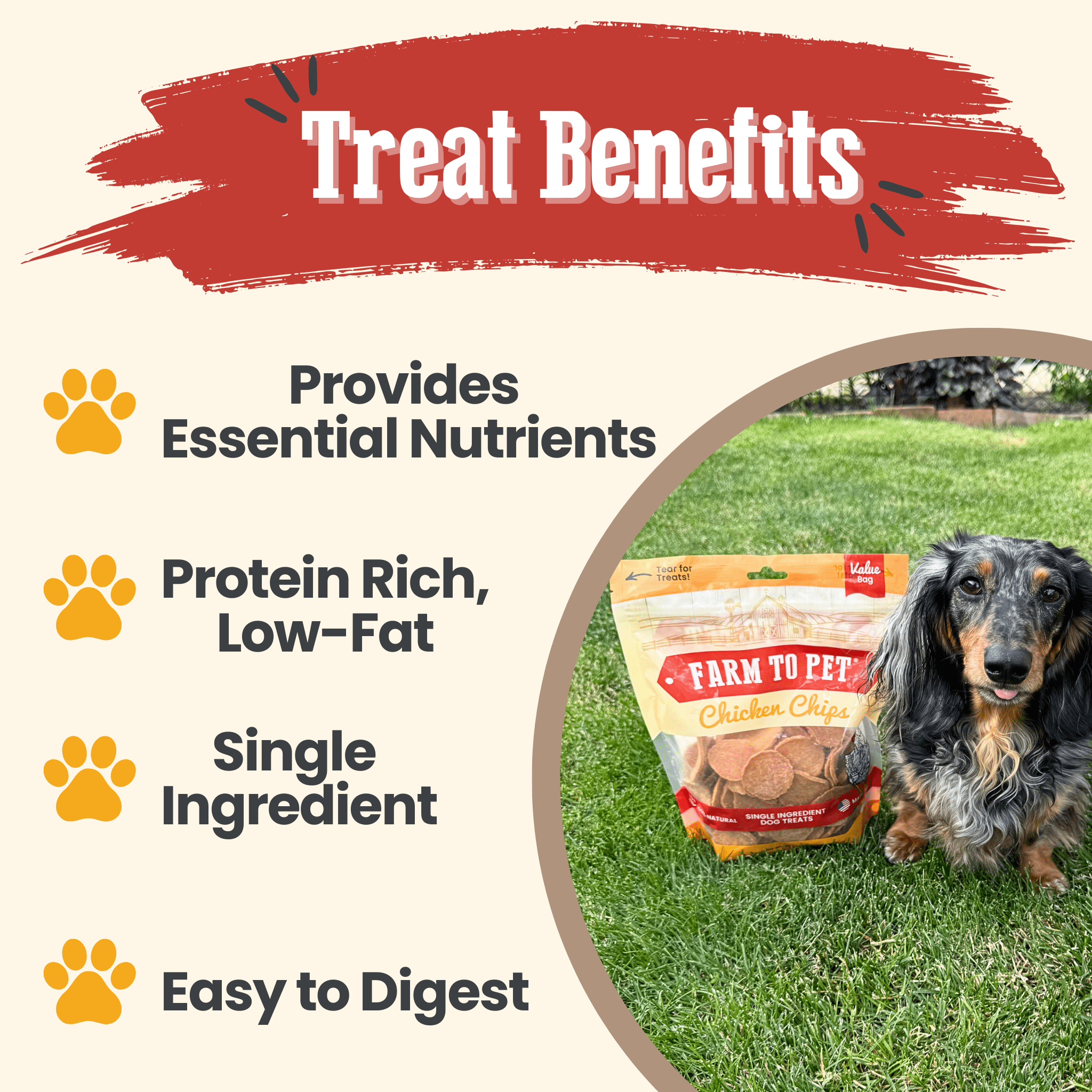Chicken chips dog treat bag shown with dog sitting on green grass