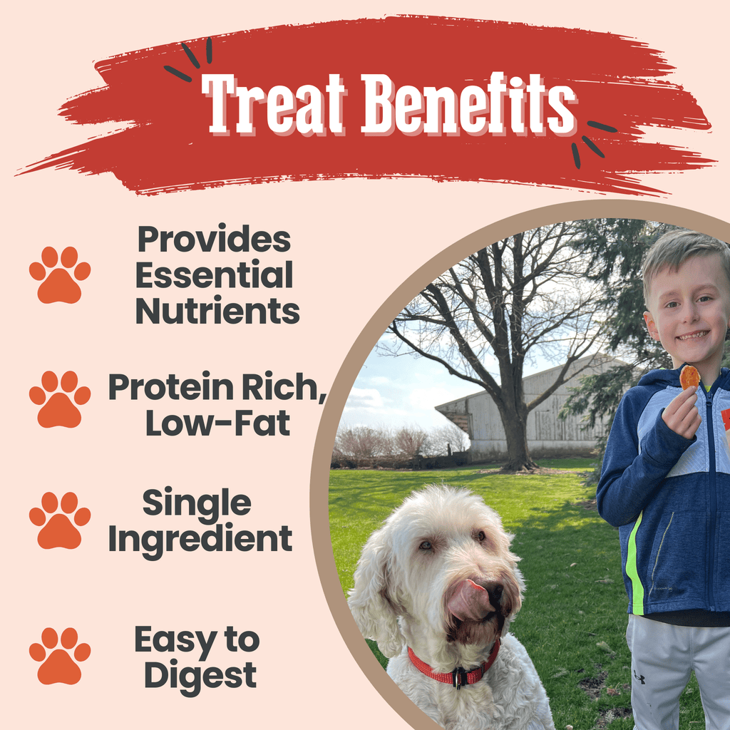 Farm to Pet turkey chips treat benefits infographic with nutrient icons and a dog holding a treat