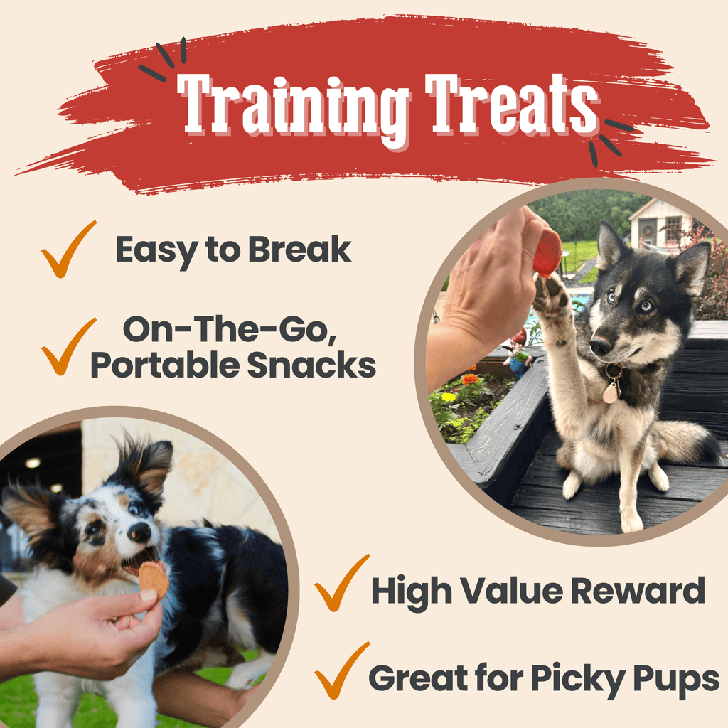 Training treats promo graphic with checkmarks and dogs holding snacks