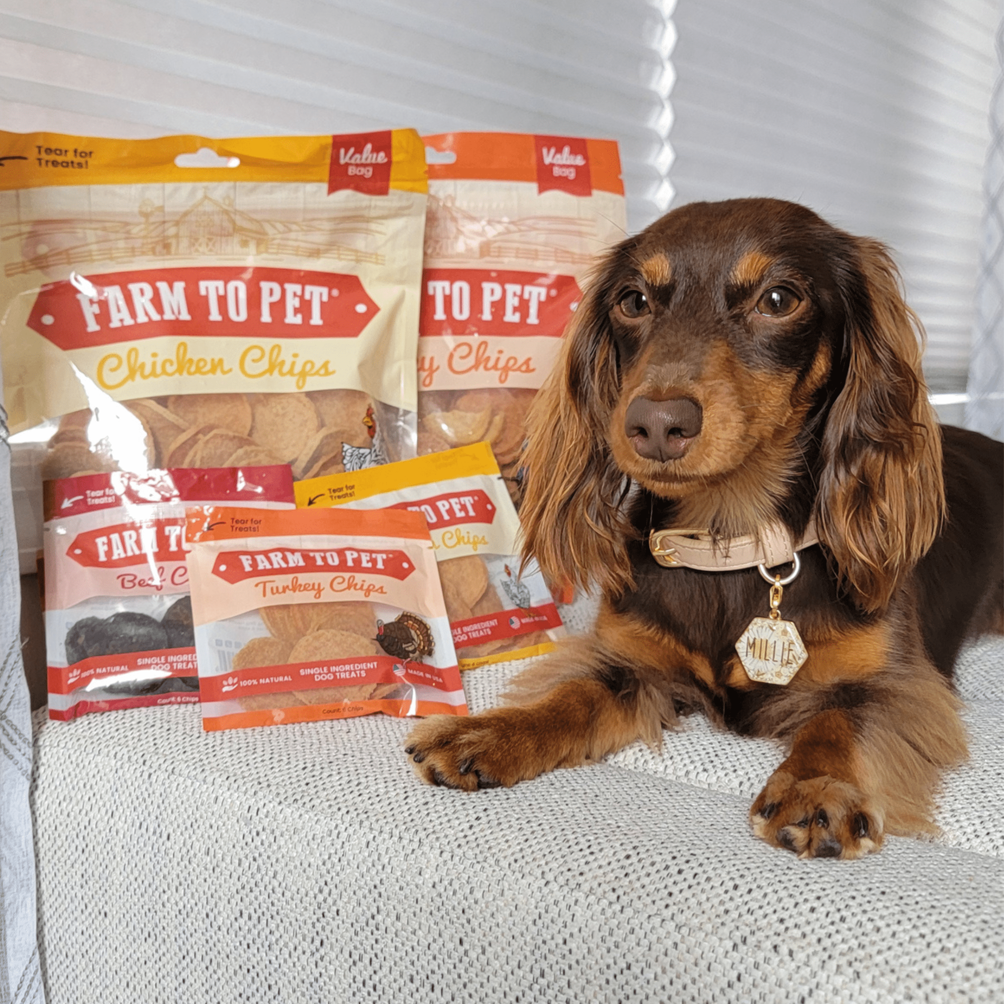 Turkey and chicken dog treat duo bags with Farm to Pet packaging
