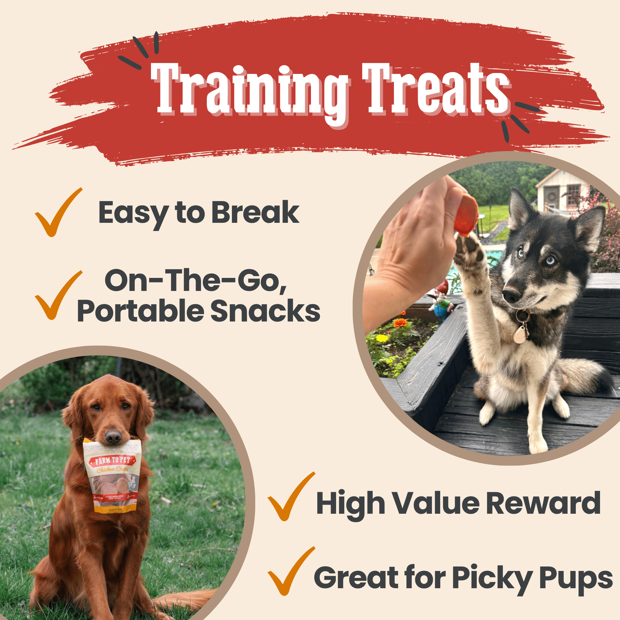 Dog treat promo graphic featuring two chip bags and two bite-sized chip snacks
