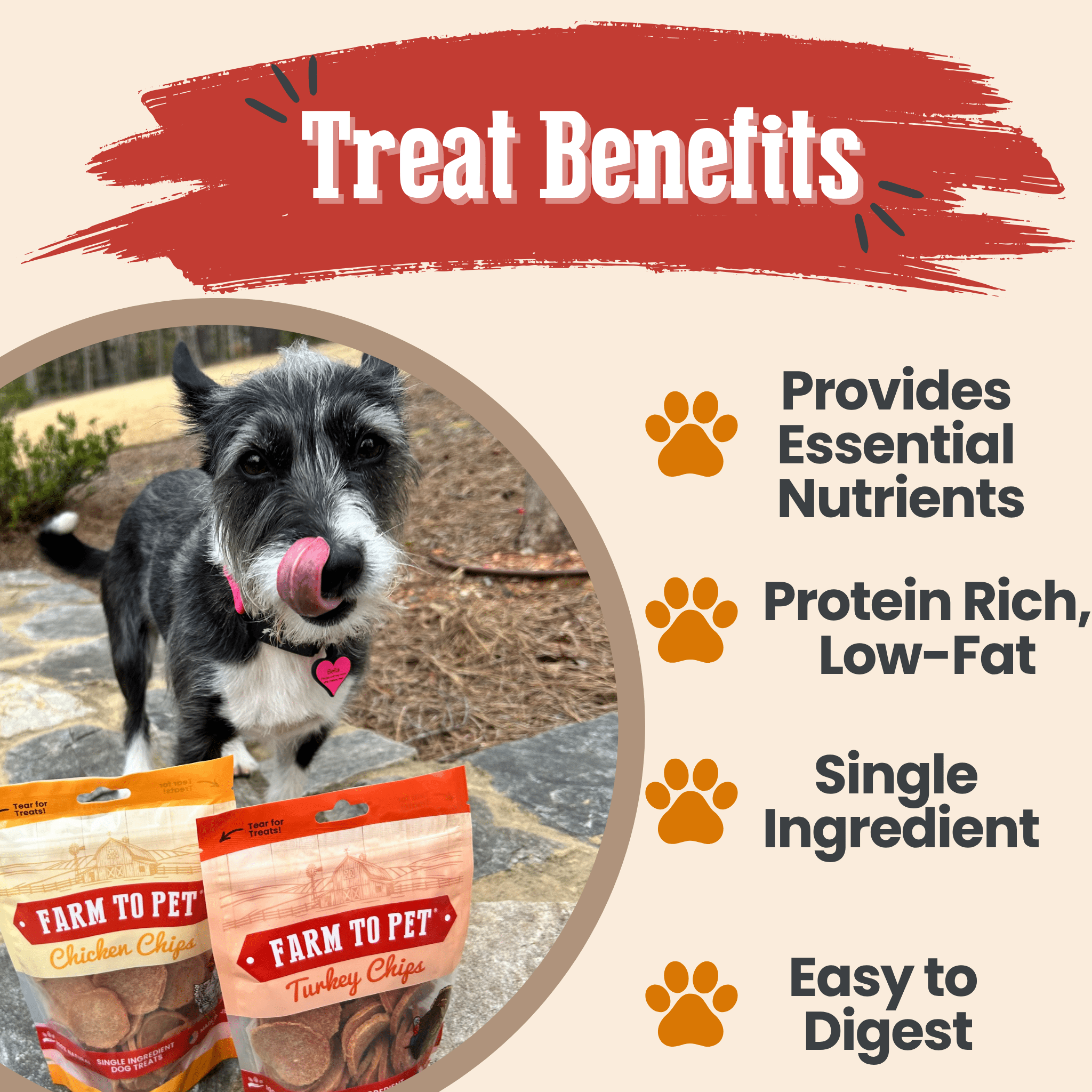 Dog treat promo graphic with chicken and turkey chip bags and paw-and-nutrition icons