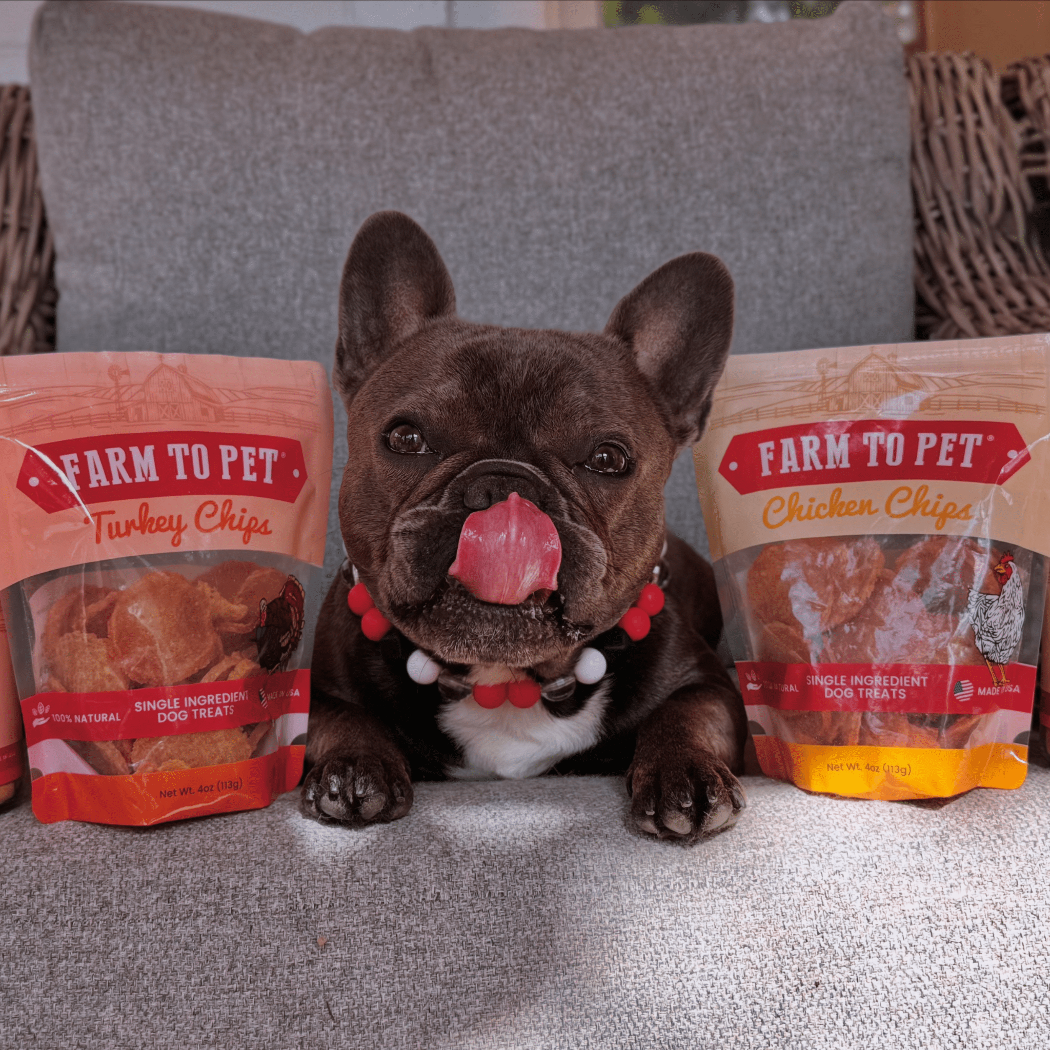 Two dog treat bags showing turkey and chicken chips, single-ingredient dog treats