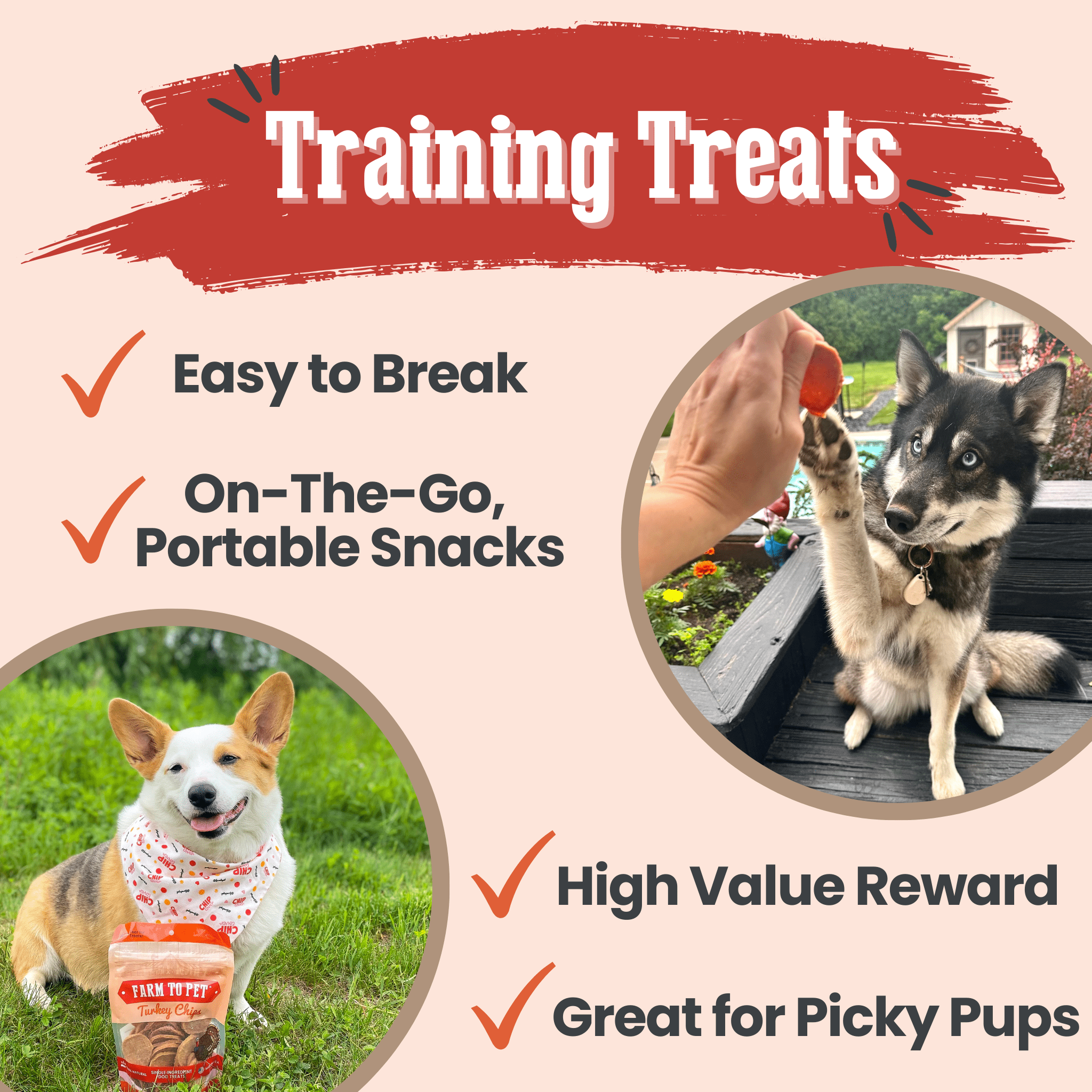 Turkey chips for dogs pouch shown with infographic-style badges and small dog photos